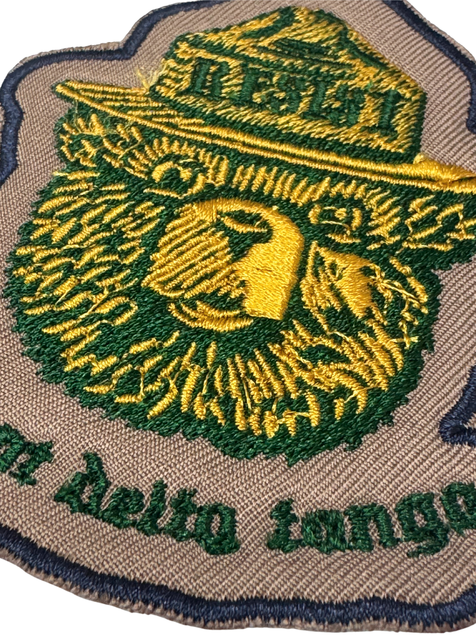 PATCH RAICHU POKÉMON Toppa Termoadesiva Iron On Embroidered Elettro - Foto 11